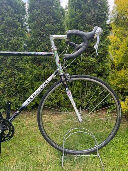 Colnago Tecnos Art Decor - 2