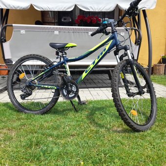 CTM BERRY 24 INCH - 2
