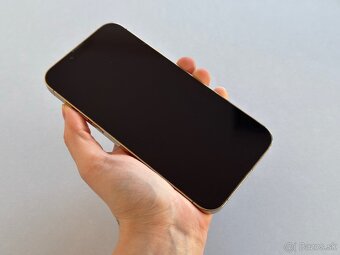 iPhone 13 Pro Max 1TB Gold - 2