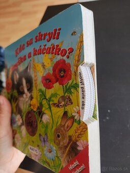 Kde sa skryli myška a káčatko? - 2