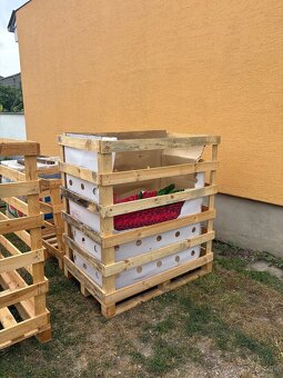 Paleta - 2