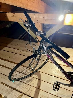 Bicykel ormea dema - 2