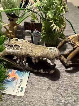 Dekoracie do akvaria 30€ - 2