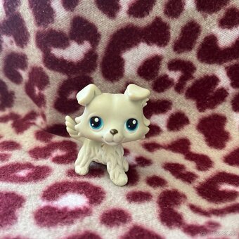 littlest pet shop jazvečík, kólia , čau čau - 2