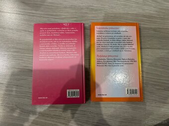 Meg Cabotová Denníky princeznej - 2