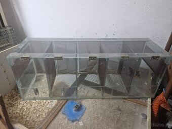 Chovne terárium - 2