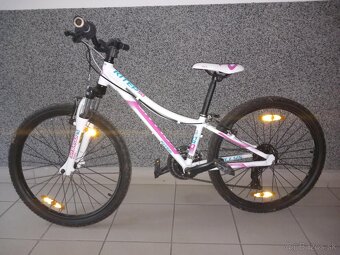 Kellys Kiter 50 - 2
