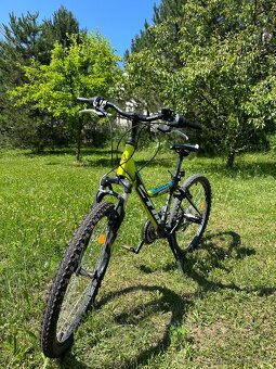 Bicykel CTM Willy 24 - 2