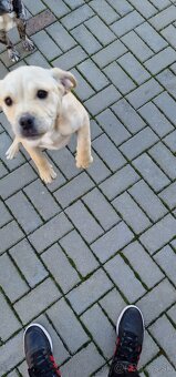 Darujem steniatko - 2