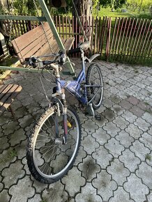 Celoodpruzeny bicykel Dema - 2