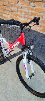Ctm 24" willy - 2