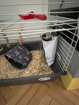 Skiny morciatlo - 2