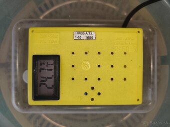 Predám liaheň Cleo5 - 2