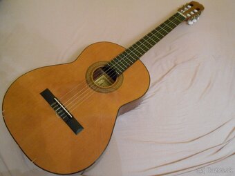 akustická gitara - 2