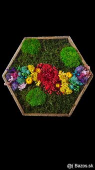 Machový obraz dúha - 2