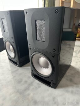 Reproduktory Raidho Acoustics X1T - 2