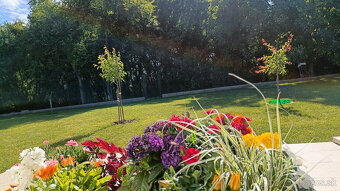 RD v Galante-rod.dôvody. - 2