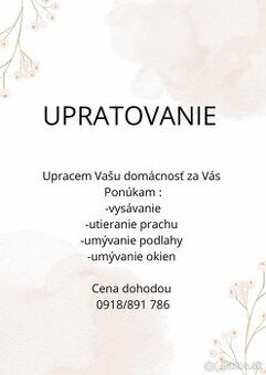 Upratovanie Šala - 2