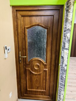 Plastove vchodove dvere - 2