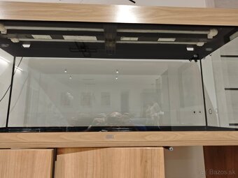 Juwel akvárium 240l - 2