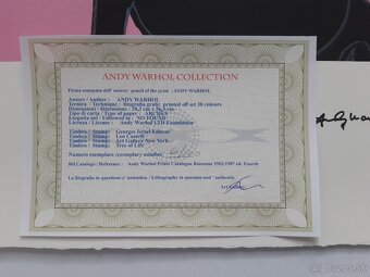 Andy Warhol – Mickey Mouse Pink - 2