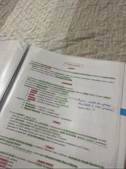 Maturitné tézy zo slovenčiny - 2