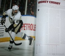 Hvězdy NHL 2014 Češi a Slováci v sezoně 2012/13 - nová kniha - 2