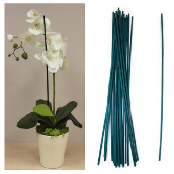 Opory k rastlinám - 2