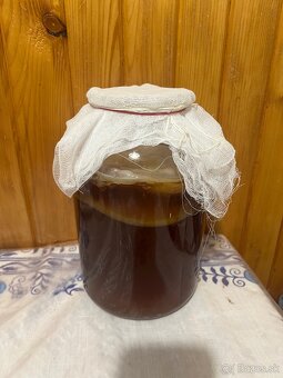 Kombucha - 2