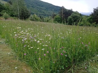 Seno pre drobné cicavce balené 1 KG posielam poštou - 2