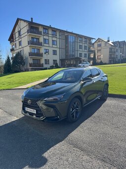 Lexus NX Executive Top - 2