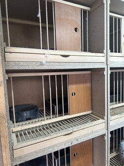 Budnik , budka pre holuba , budniky , budky pre holuby - 2