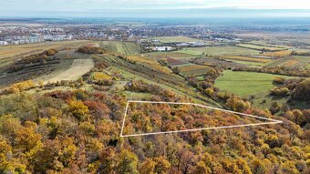 Pekný lesný pozemok kúsok od vyhliadky Vimperk - 2