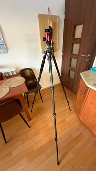 Horus Bennu C-2540 - 2