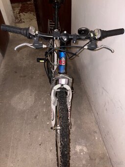 Bicykel DINOTTI - 2
