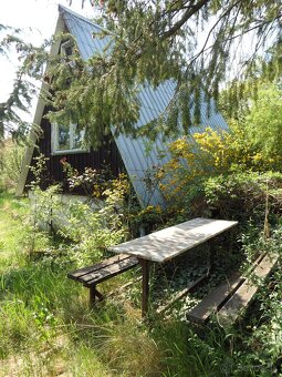 Záhrada nad Dubčekovou ulicou NMnV - 2