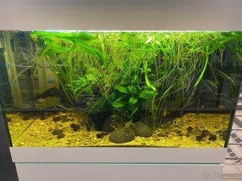 Akvárium Juwel 140l - 2