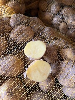 Predám Zemiaky na zimné uskladnenie - 2