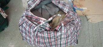 Predam kabat damsky Bratislava - 2