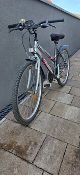 Cestný - Horský bicykel - 2