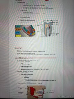 MATERIÁLY NA PRIJÍMAČKY NA MEDICÍNU/PRÍPRAVA NA MATURITU - 2