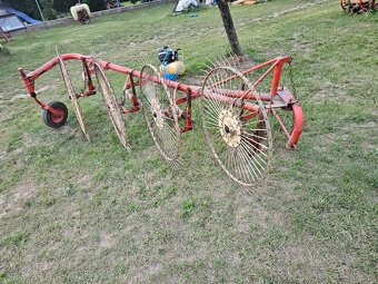 Slniečková hrabačka - 2