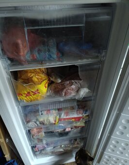 ŠUFLÍKOVÁ MRAZNIČKA AMICA - 2