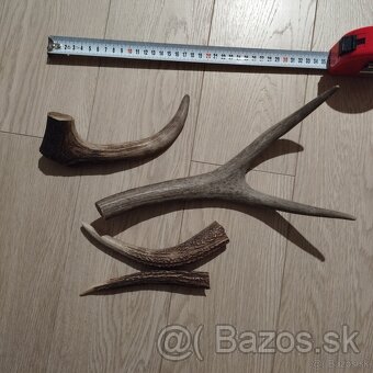 Predám parozie, zhody lacno, osobne - 2