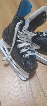 Korčule yth12. 31 - 2