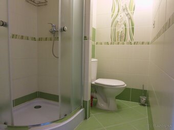 Prenajom 1 izboveho bytu - 2