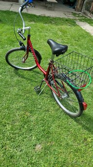 Liberta 24" - 2