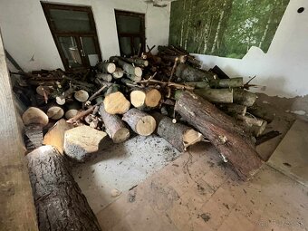 Smreky, drevo na predaj cca 4m plus viac - 2