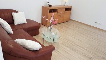 Predam kozeny gauc - 2