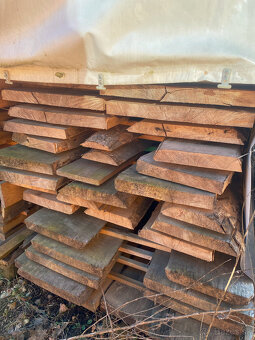 Rezivo Buk Dub Jelša Javor. - 2